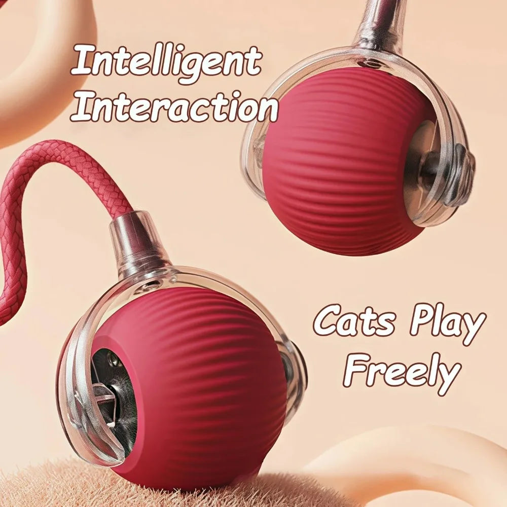 Cat Interactive and automatic ball toy