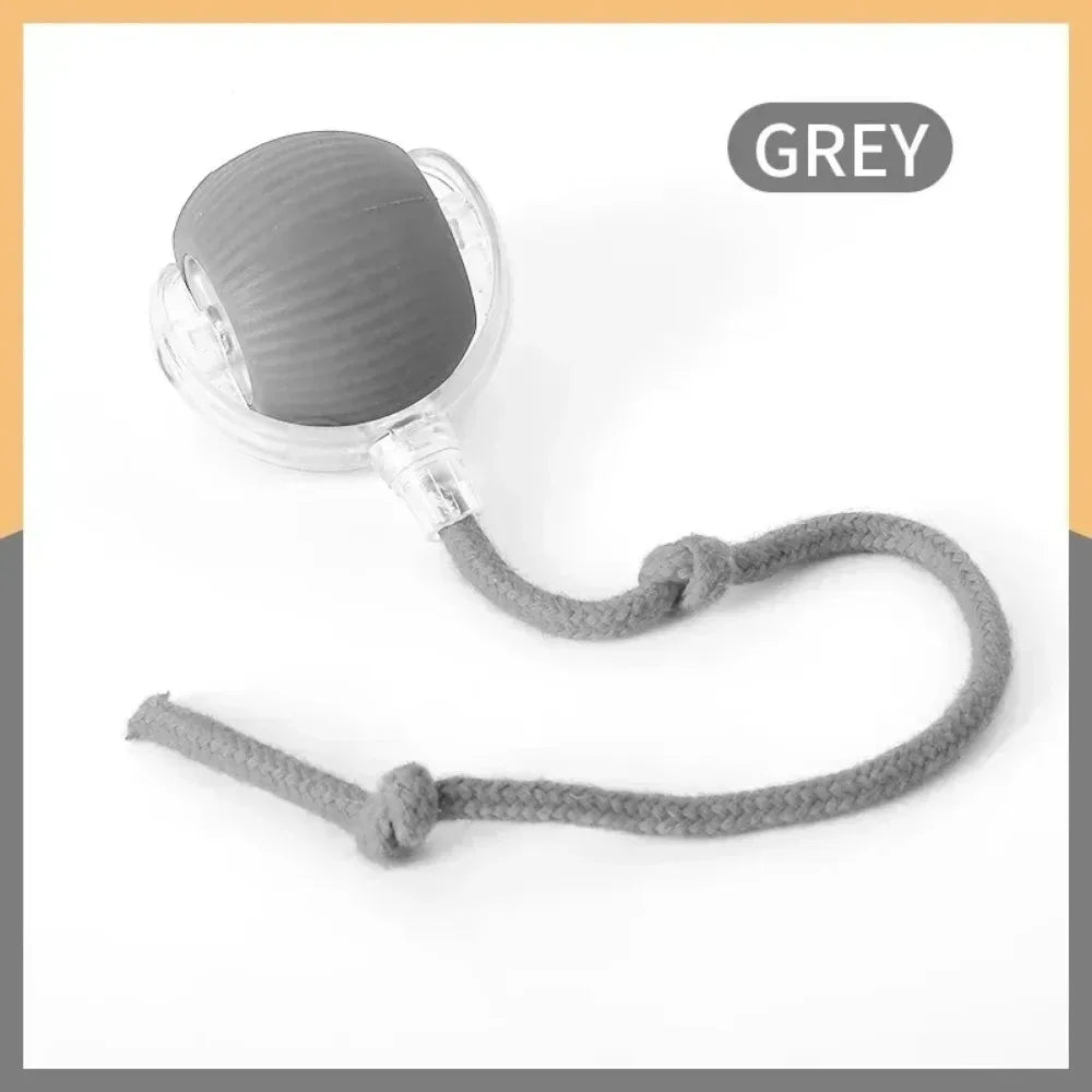 Cat Interactive and automatic ball toy