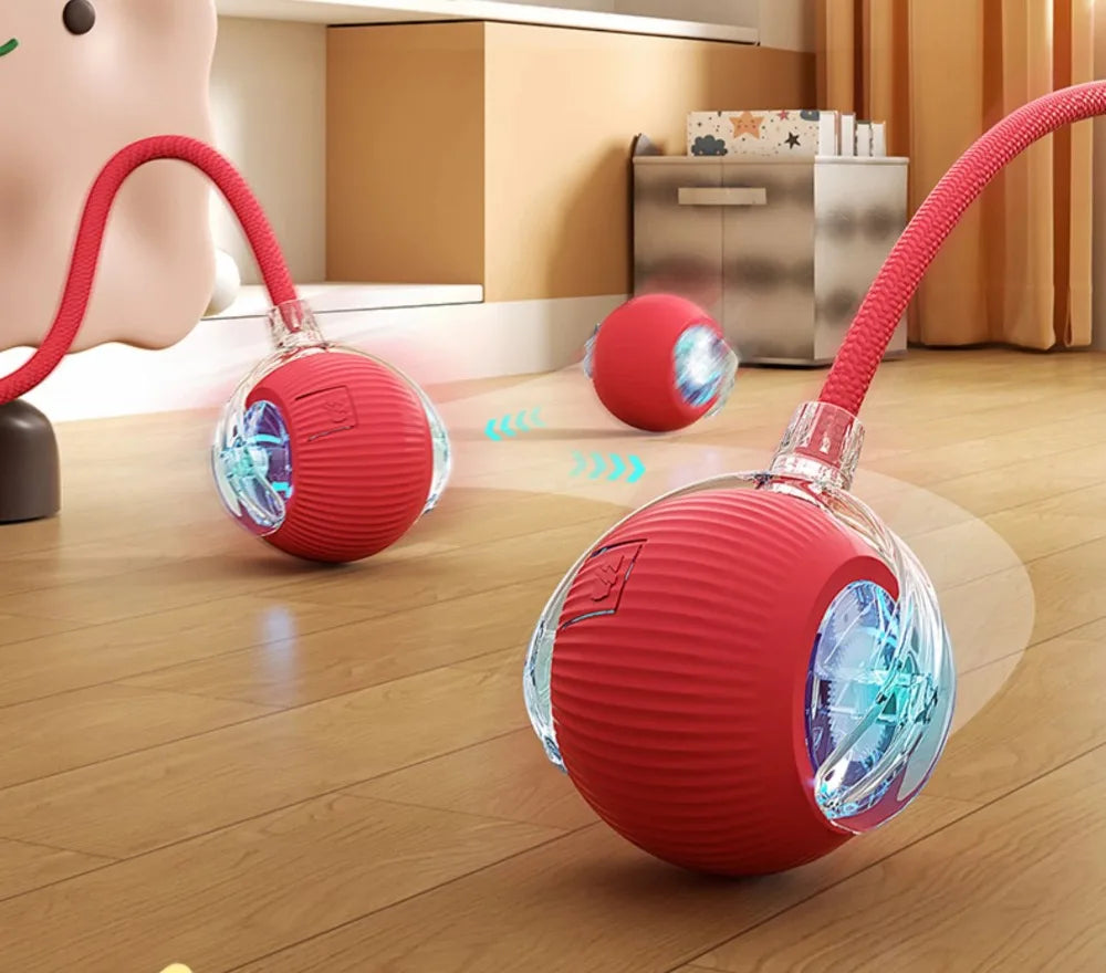 Cat Interactive and automatic ball toy