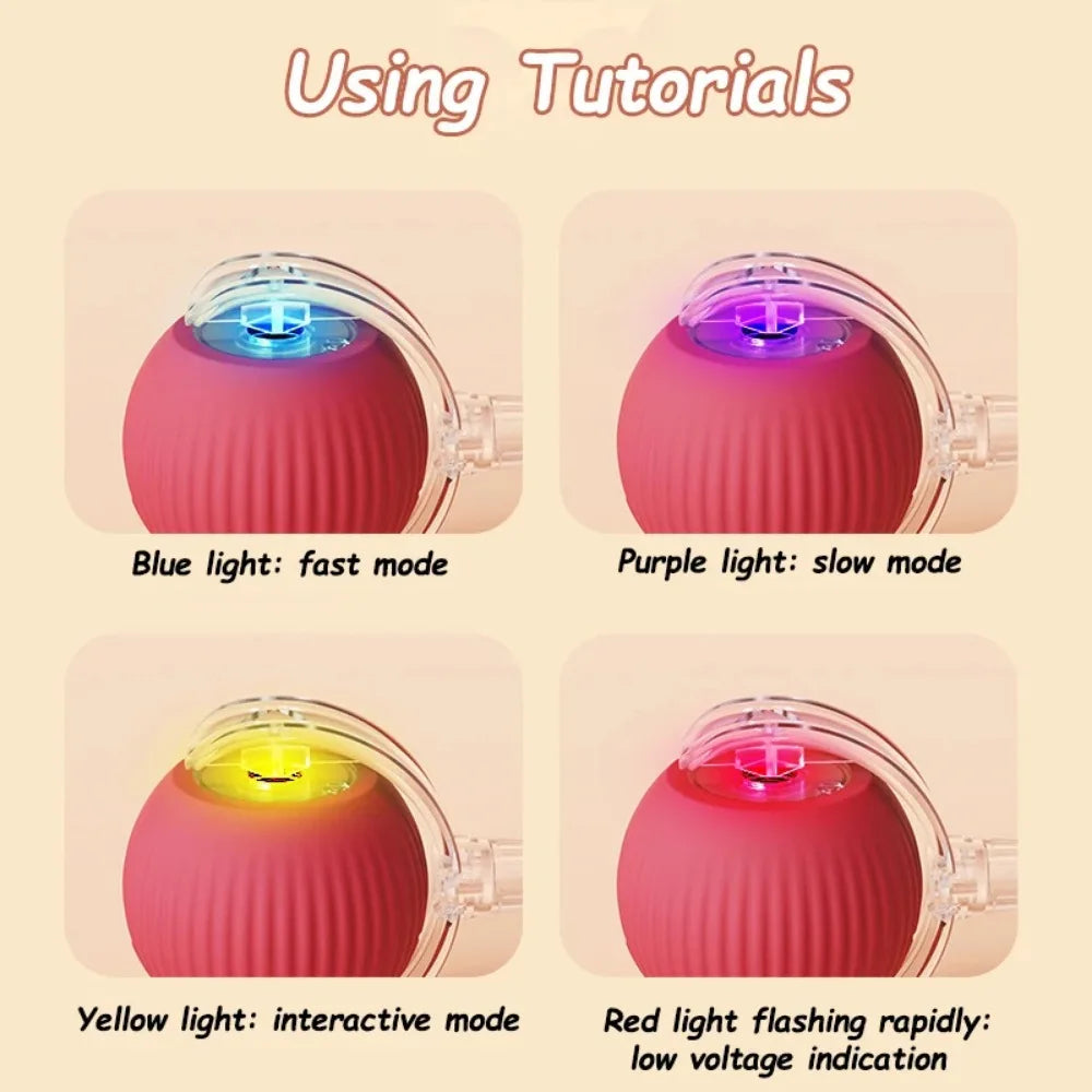 Cat Interactive and automatic ball toy