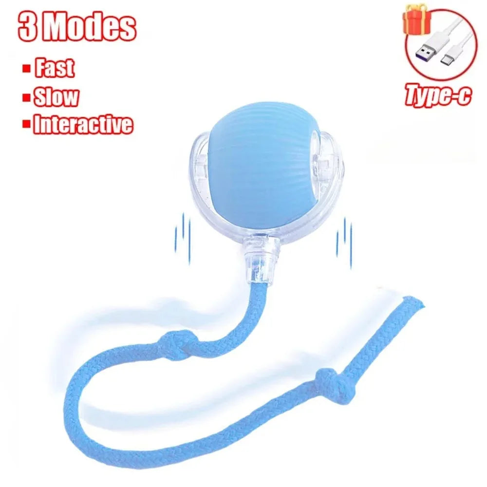 Cat Interactive and automatic ball toy