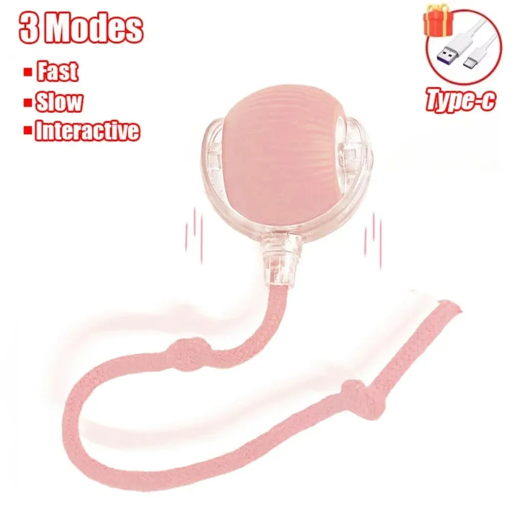 Cat Interactive and automatic ball toy