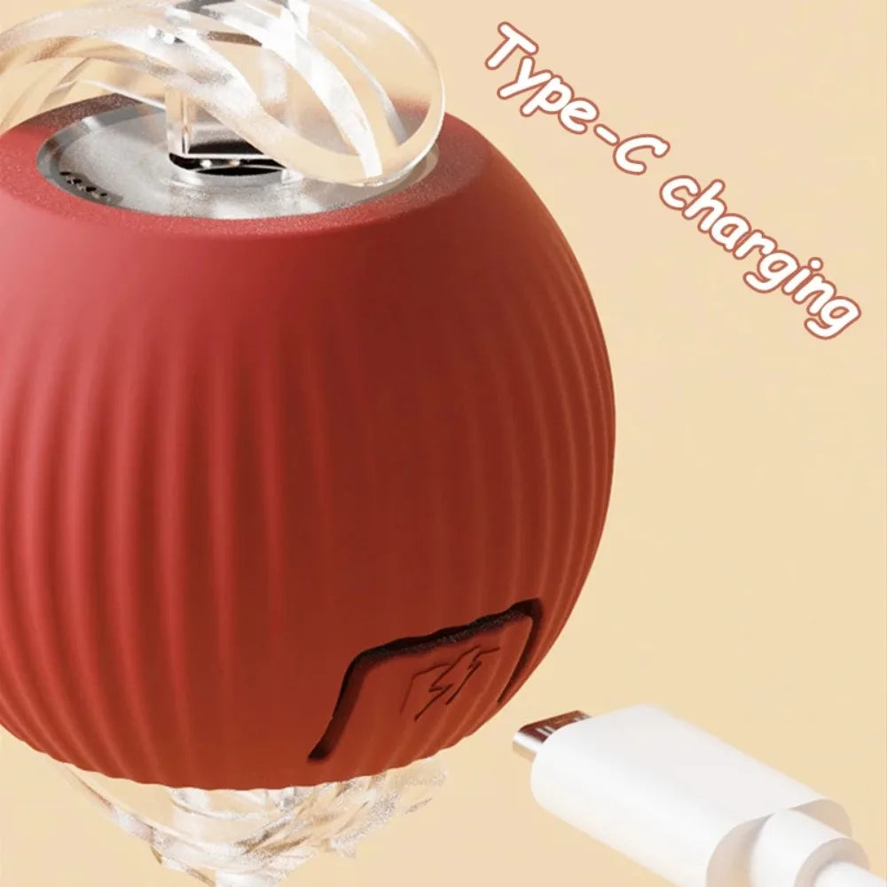 Cat Interactive and automatic ball toy