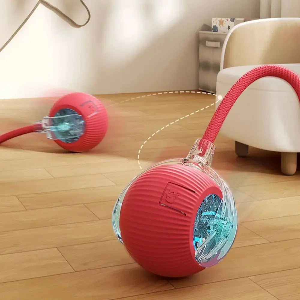 Cat Interactive and automatic ball toy