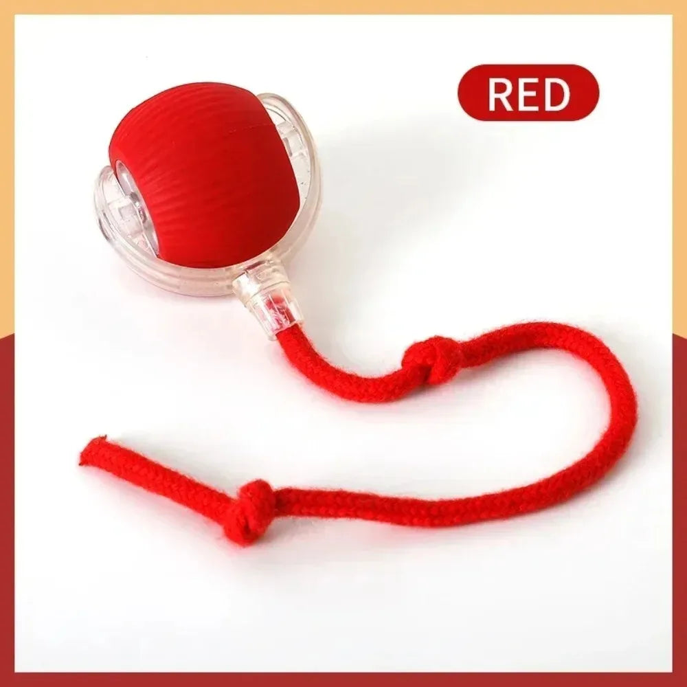 Cat Interactive and automatic ball toy