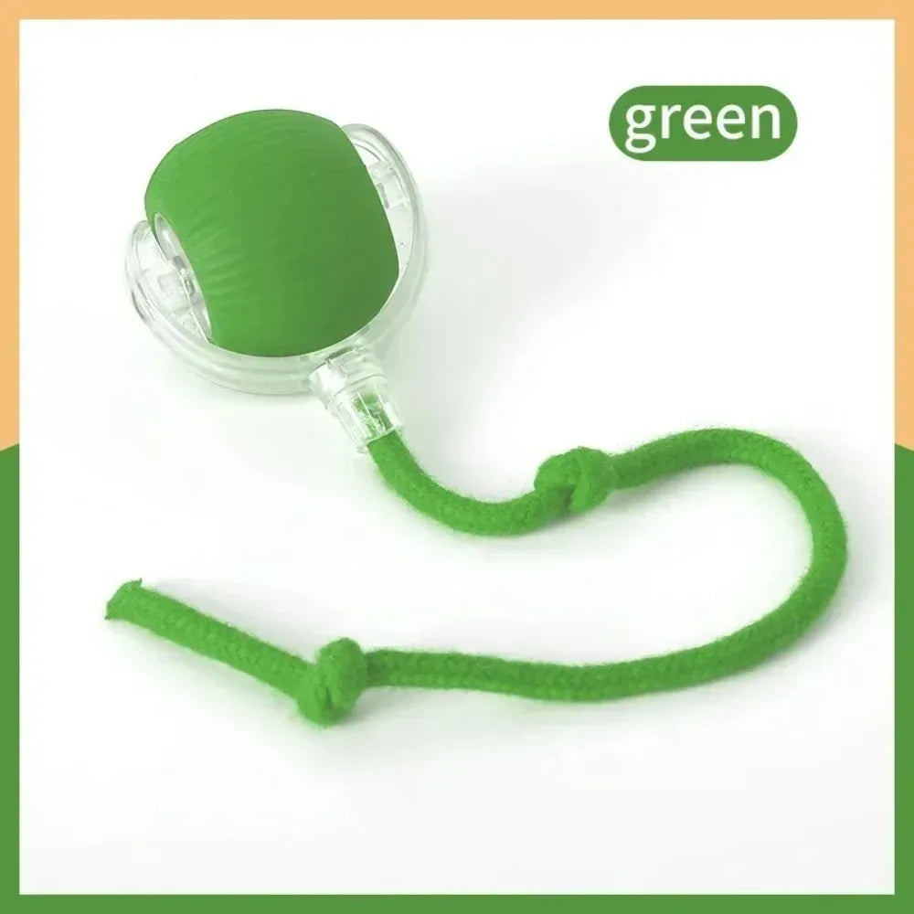 Cat Interactive and automatic ball toy