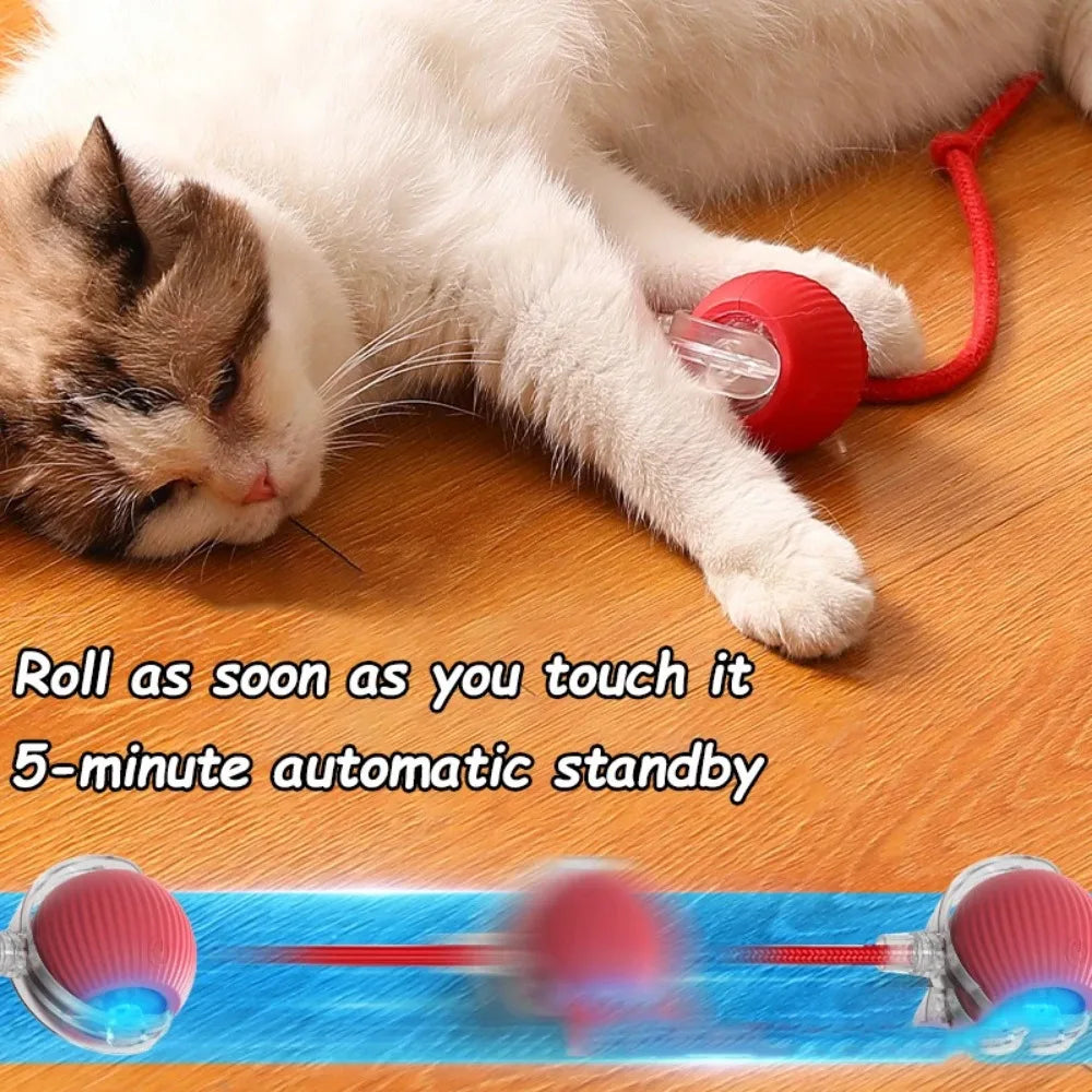 Cat Interactive and automatic ball toy