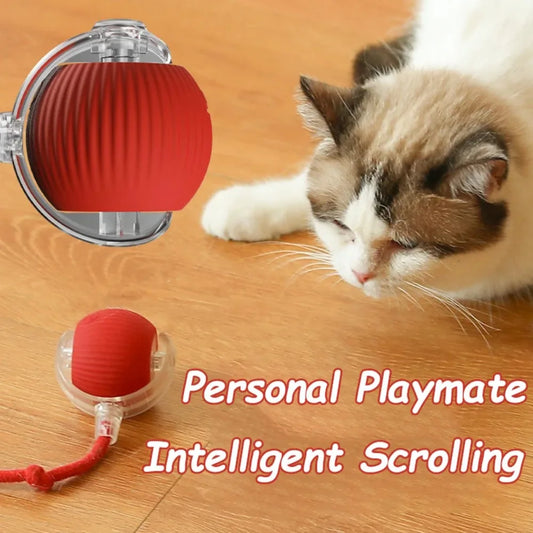 Cat Interactive and automatic ball toy
