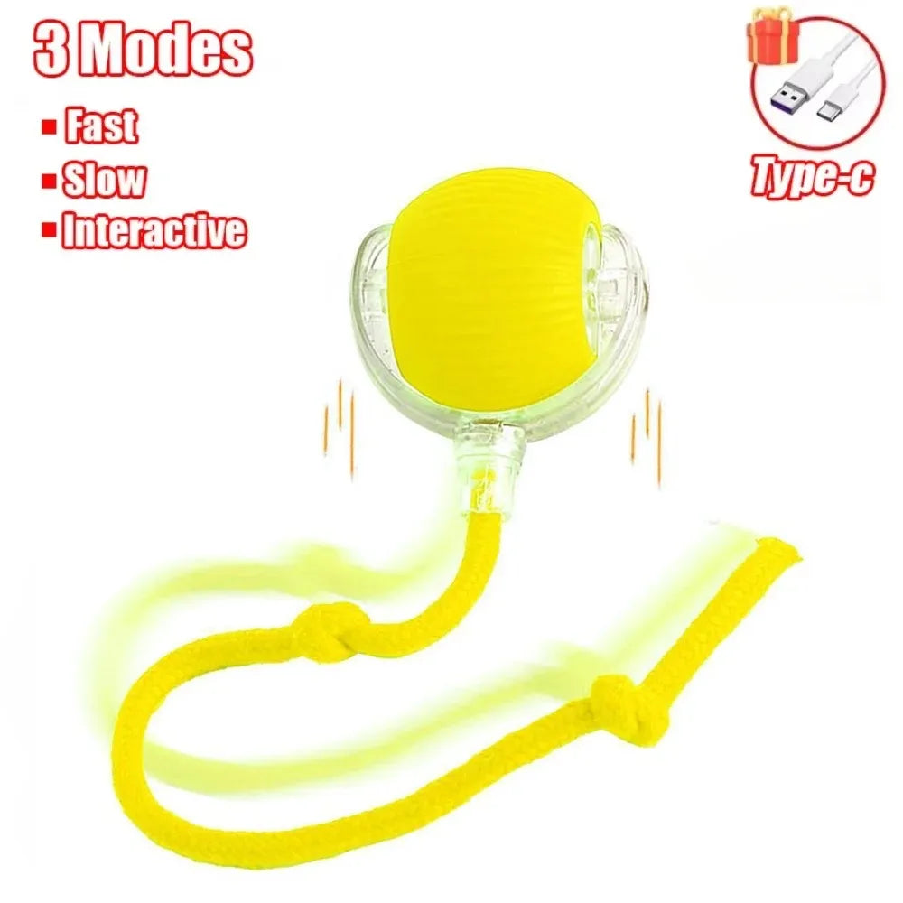Cat Interactive and automatic ball toy